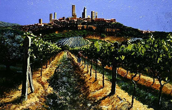Grape Vines, San Gimignano, Tuscany, 1998 (oil on canvas)  from Trevor  Neal
