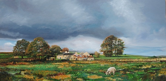 Old Farm, Monyash, Derbyshire from Trevor  Neal