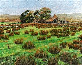 Farm Cumbria