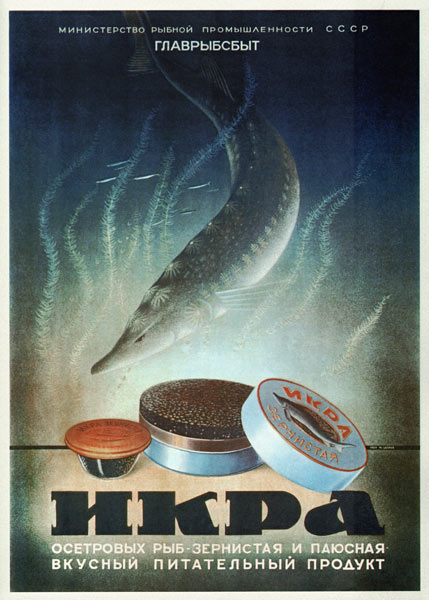 Advertising Poster for the Sturgeon caviar from Unbekannter Künstler