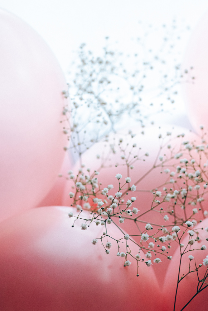 Blooms and Balloons - Moment like this from uplusmestudio