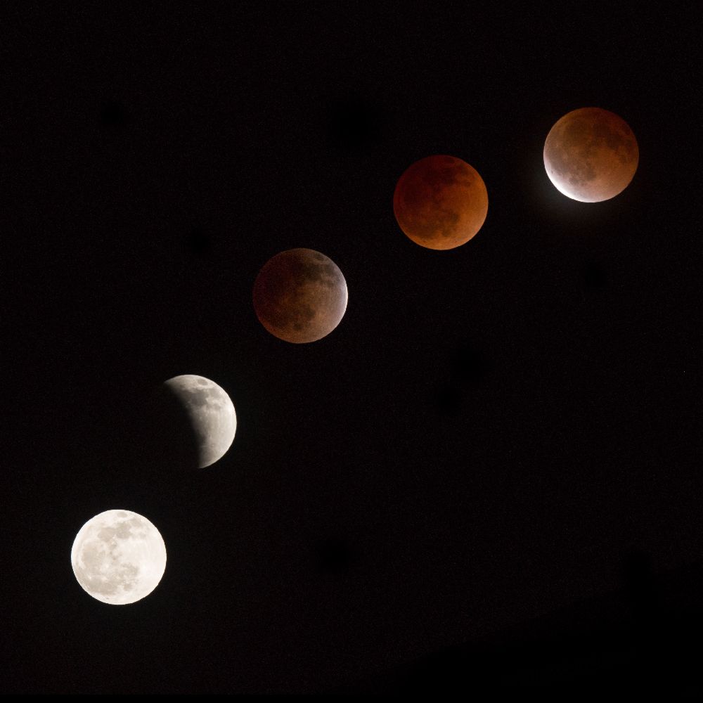 Moon at play from Vadim Ianulionoc