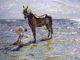 Bathing the horse