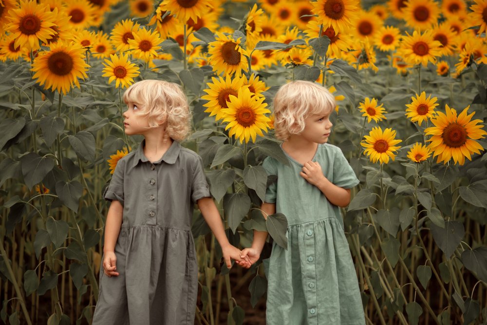A Walk in the Sunflowers from Valentina Rabtsevich