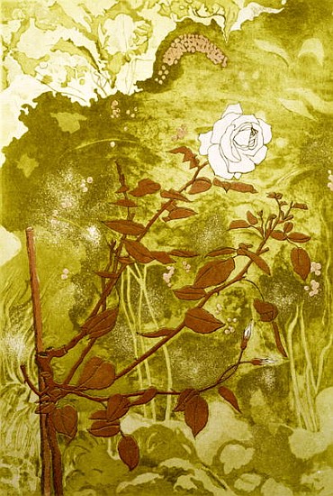 Rose (print) from Valerie  Daniel