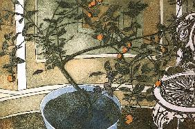 Orange Tree (print) 