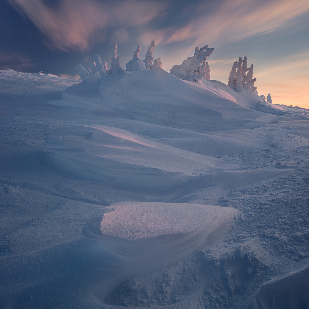 One frosty sunrise from Valeriy Shcherbina