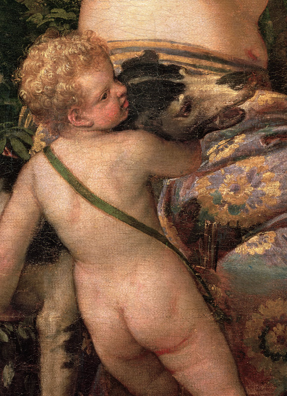 Cupid, detail from Venus and Adonis from Veronese, Paolo (aka Paolo Caliari)