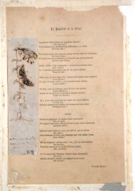 'Le Papillon et la Fleur', poem with an illustration of butterlies from 'Les Chants du Crepuscule' from Victor Hugo