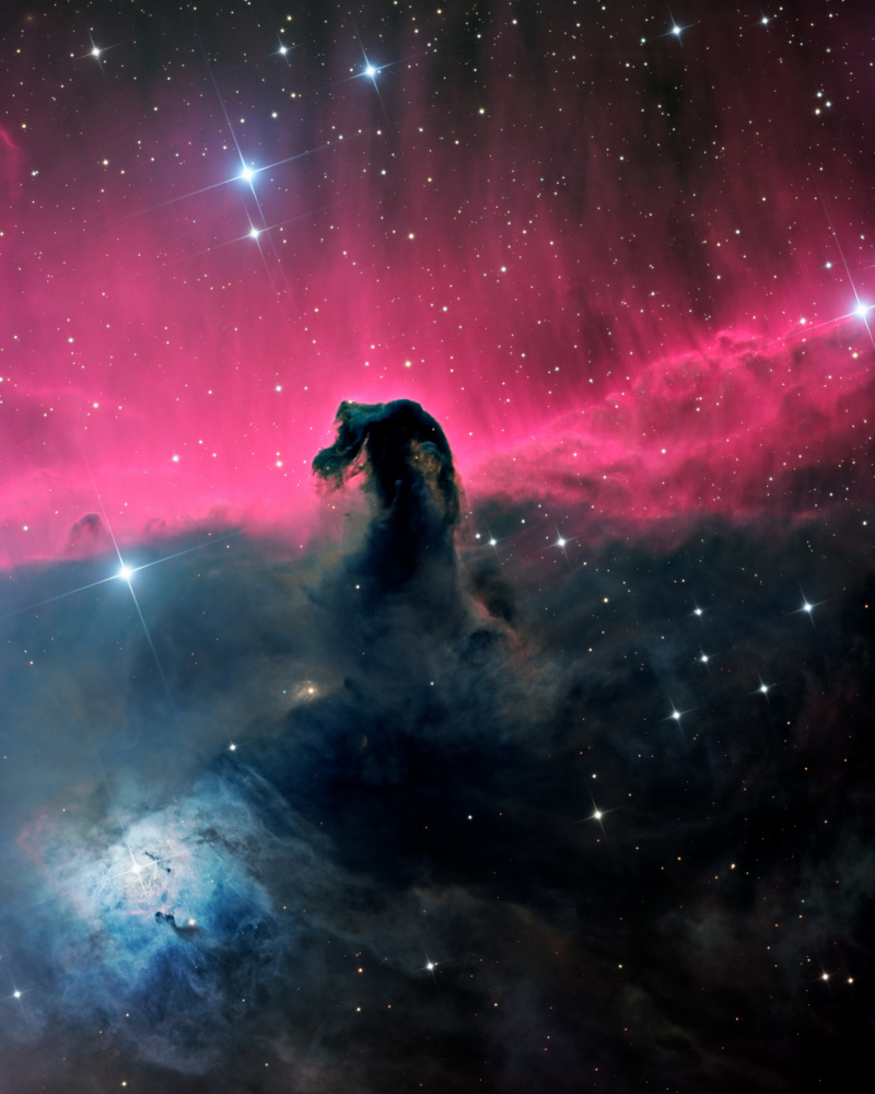 The Horsehead Nebula from Vikas Chander