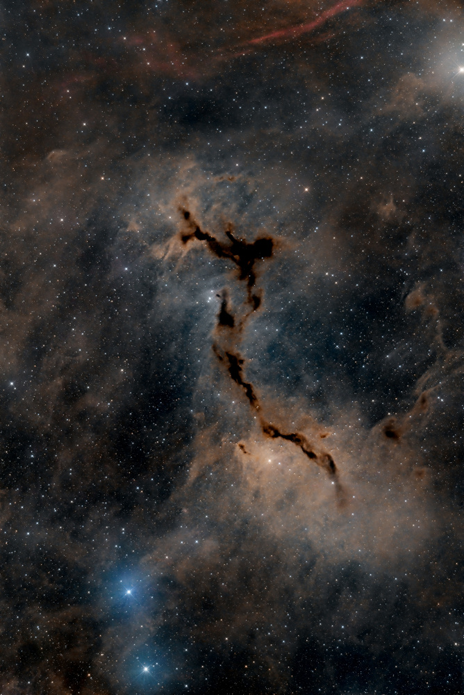 The Seahorse Nebula from Vikas Chander