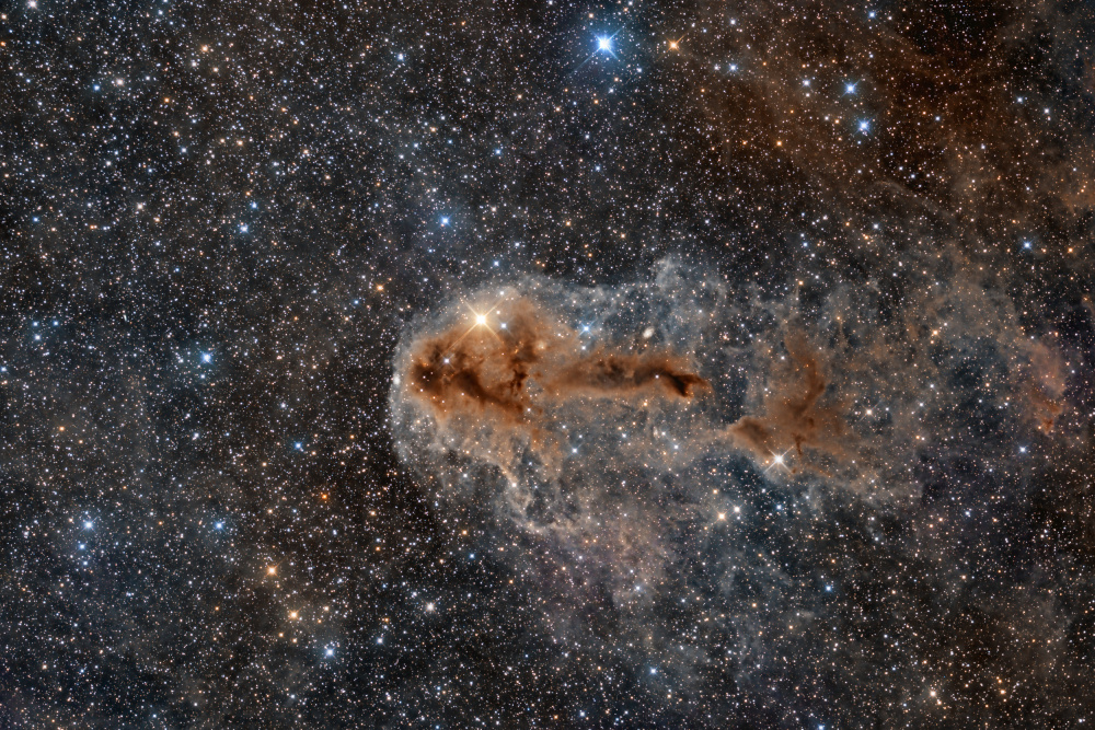 Rotten Fish Nebula from Vikas Chander