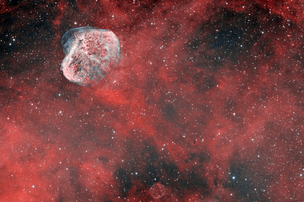 Crescent Nebula from Vikas Chander