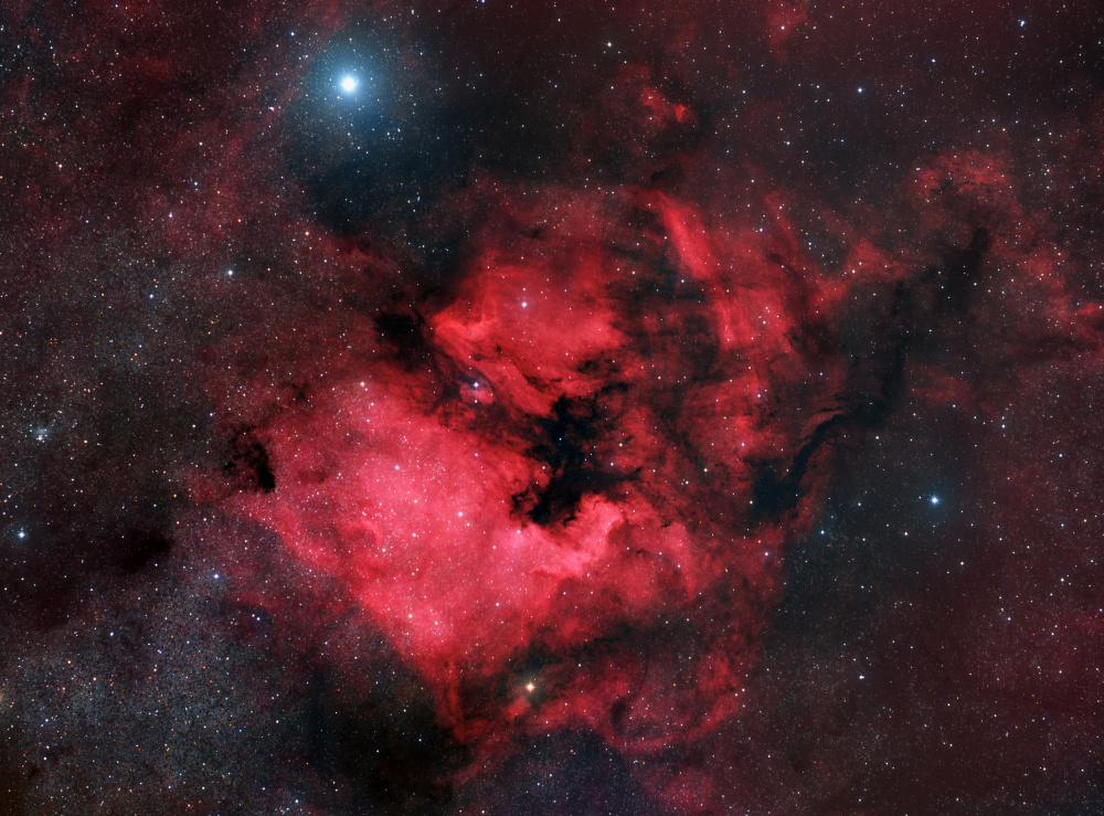 North American Nebula from Vikas Chander