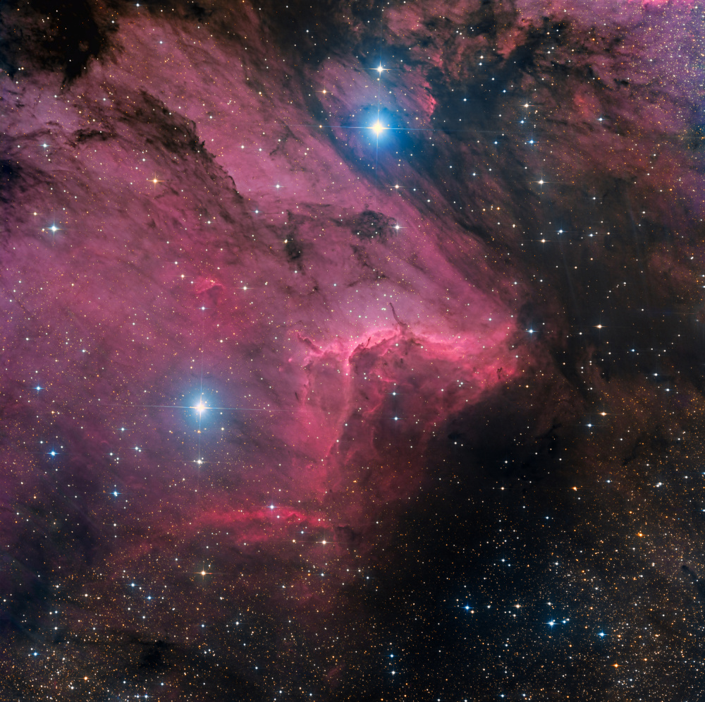 Pelican nebula from Vikas Chander