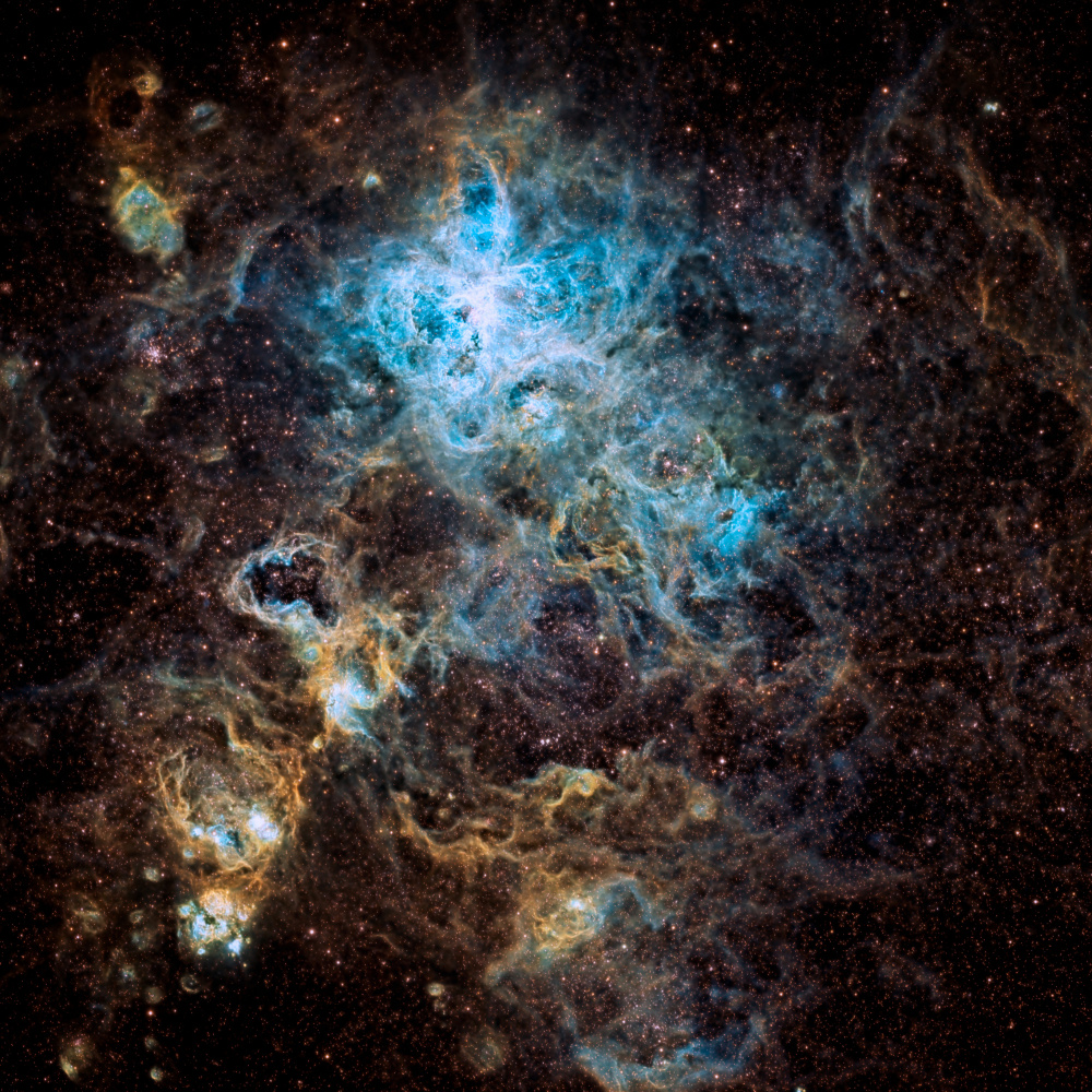 Tarantula Nebula from Vikas Chander