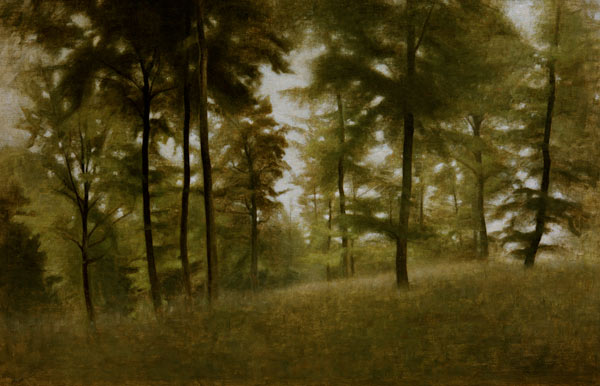 Beech Forest, Arresödal from Vilhelm Hammershoi