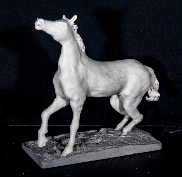White Stallion from Vincent Alexander Booth