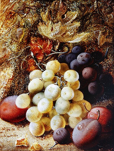 Grapes and Plums from Vincent Clare