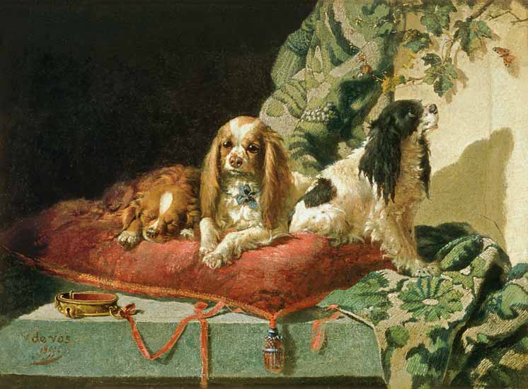 King Charles Spaniels from Vincent de Vos