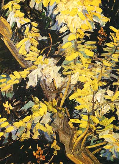 Blossoming Akazienzweig from Vincent van Gogh