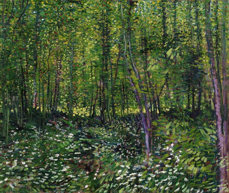 Trees and underwood from Vincent van Gogh