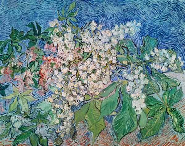 van Gogh / Blossoming Chestnut Branches from Vincent van Gogh