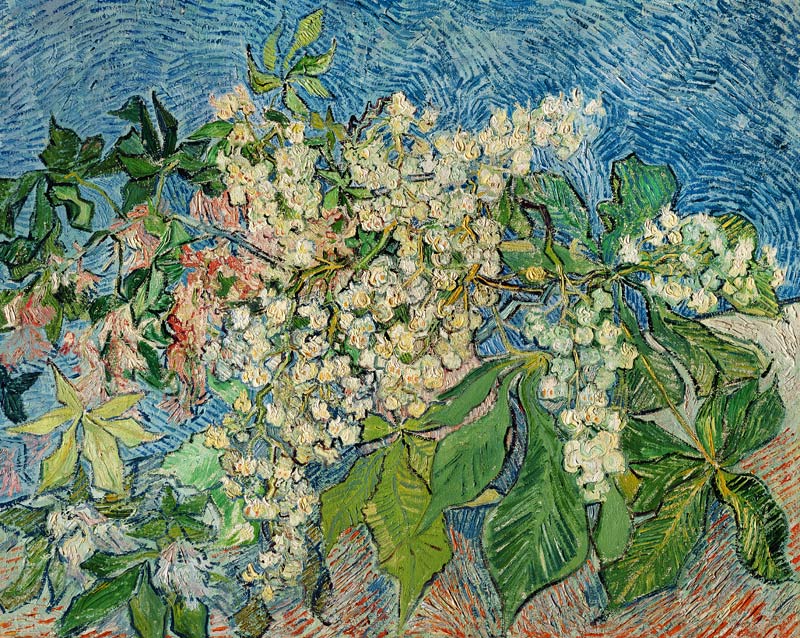 Blossoming Chestnut Branches from Vincent van Gogh