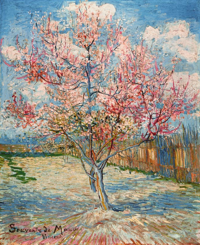 Peach tree in bloom from Vincent van Gogh