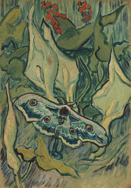 Green Peacock Moth (The Emperor Moth) from Vincent van Gogh