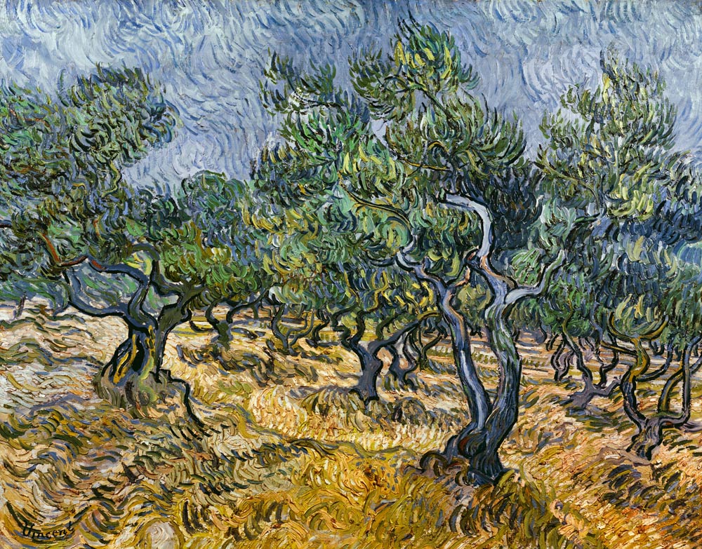 The Olive Grove from Vincent van Gogh