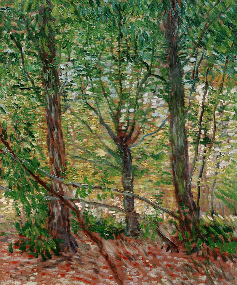 Trees and Undergrowth from Vincent van Gogh