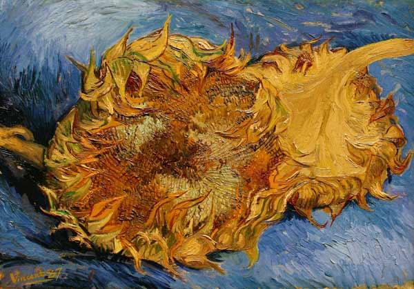 The Sunflowers from Vincent van Gogh