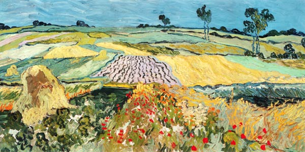 Fields at Auvers from Vincent van Gogh