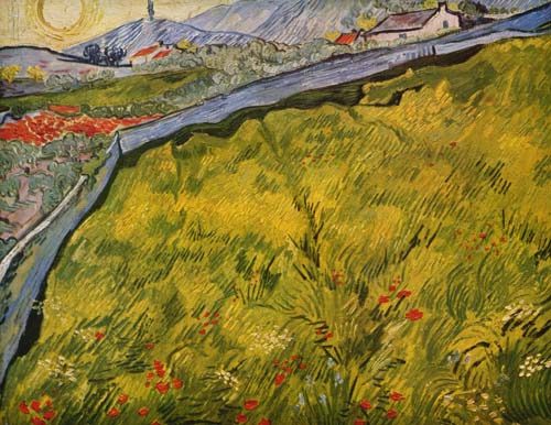 The meadow fenced in from Vincent van Gogh