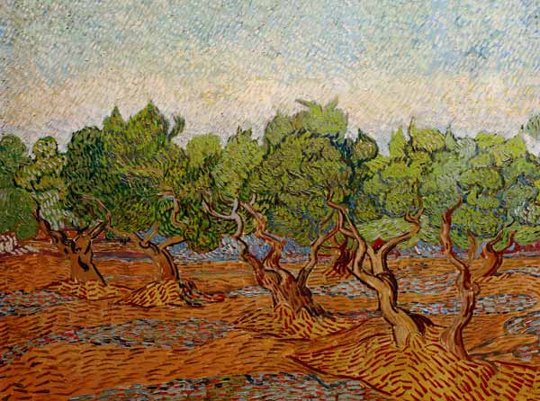 Van Gogh, Olive Grove / Paint./ 1889 from Vincent van Gogh