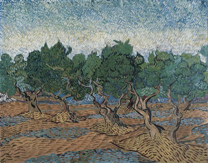 Olive grove from Vincent van Gogh