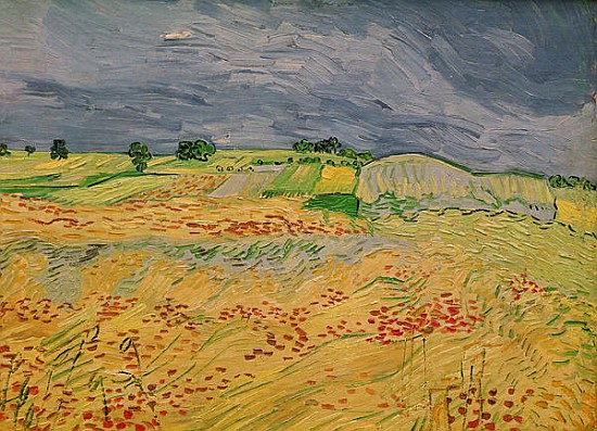Plain at Auvers from Vincent van Gogh