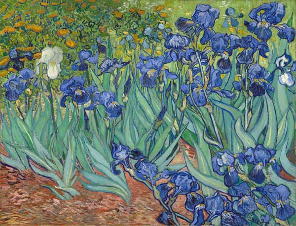 Irises from Vincent van Gogh