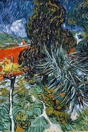 Van Gogh / Dr. Gachet s Garden / 1890