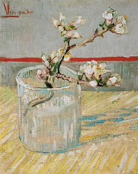 Blossoming Almond Branch in a Glass