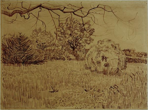 V.v.Gogh, Field w.Shrub / Drawing / 1888 from Vincent van Gogh