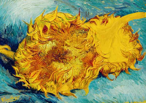 two sunflowers cut off from Vincent van Gogh
