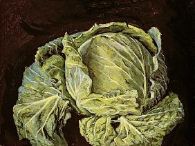 Cabbage Still Life