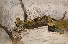Felled oak tribe. from Wilhelm Alexander Wolfgang von Kobell