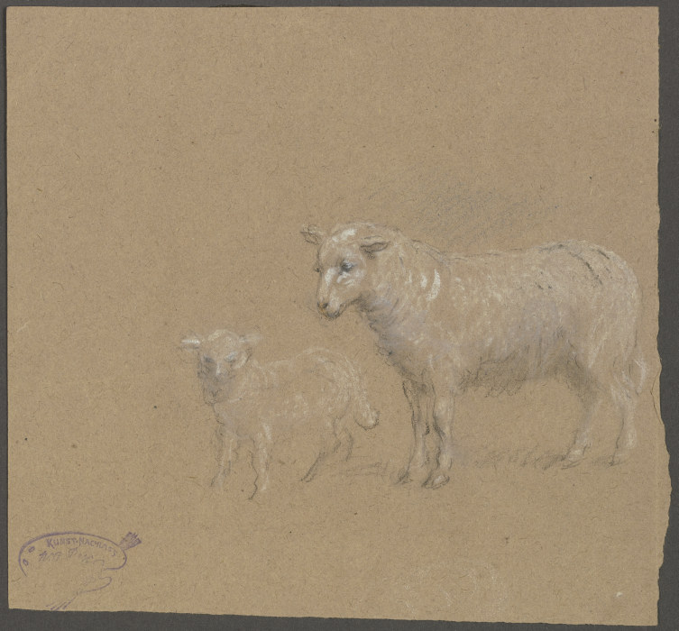Sheep and lamb from Wilhelm Amandus Beer