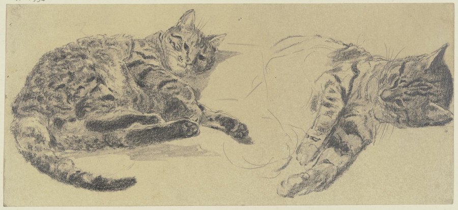 Studies of cats from Wilhelm Gentz