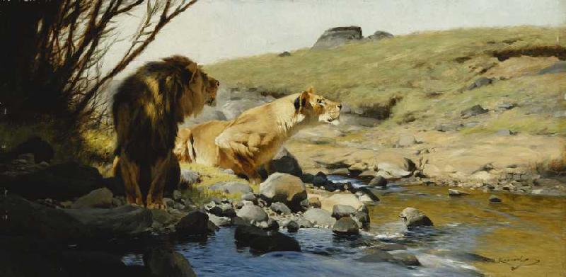 Ein Löwe und eine Löwin an einem Bach. from Wilhelm Kuhnert