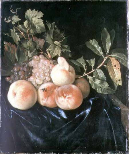 Still Life with Peaches and Grapes from Willem Frederik van Royen