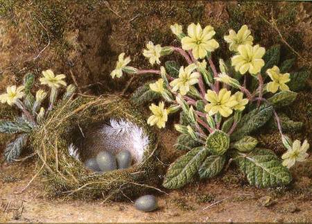 Still Life of Eggs in a Nest and Primroses from William B. Hough
